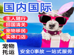 厦门空运代理国际宠物托运 【国